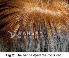 240102152648_Hair-Dying with henna-s.jpg